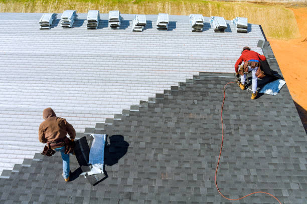 Best Roof Gutter Cleaning  in Springfield, SD