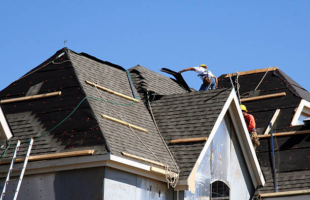 Best Roof Leak Repair  in Springfield, SD