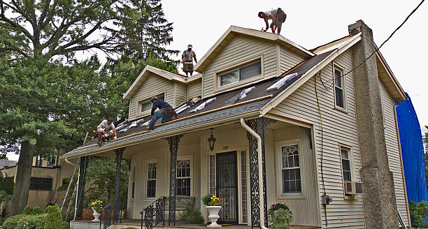 Best Local Roofing Companies  in Springfield, SD
