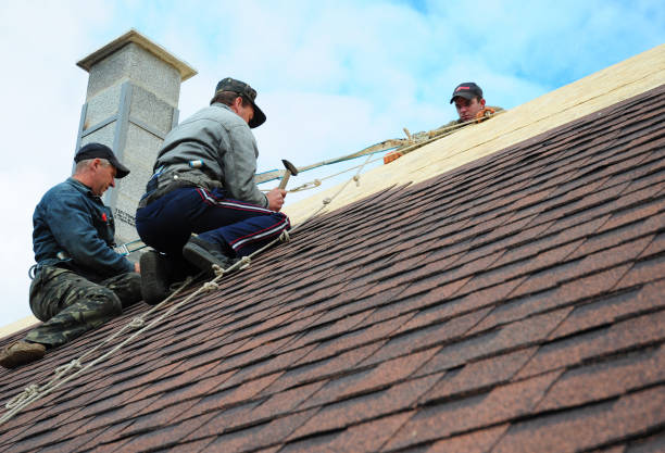 Best Metal Roofing Contractor  in Springfield, SD