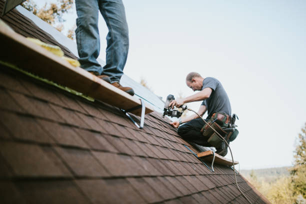 Best Roof Gutter Cleaning  in Springfield, SD